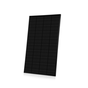 frame1000006825.png
