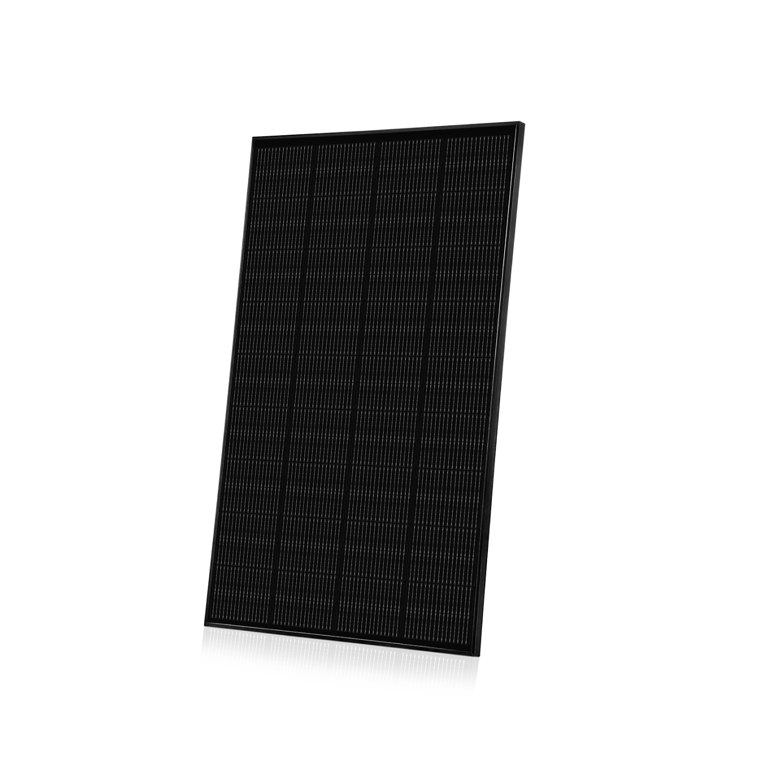 frame1000006825.png